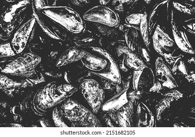 Distressed overlay texture of seashells, sea stones on the beach. grunge background. abstract halftone vector illustration