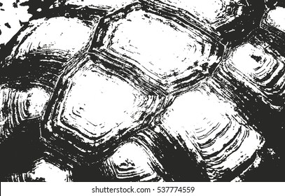 Distressed overlay texture of turtle-shell, grunge vector background.