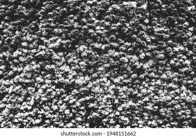 Distressed overlay texture of weaving fabric. grunge background. abstract halftone vector illustration