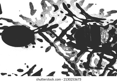 Distressed overlay texture of weaving fabric. grunge background. abstract halftone vector illustration