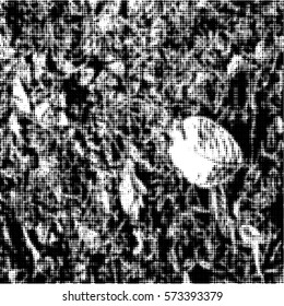 Distressed overlay Vector grunge halftone background. Halftone dots vector texture. EPS10