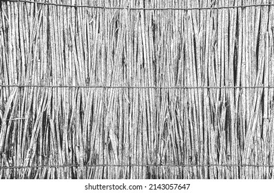 Textura de vid de mimbre superpuesta con problemas. fondo negro y blanco grueso. ilustración abstracta de vector de medio tono