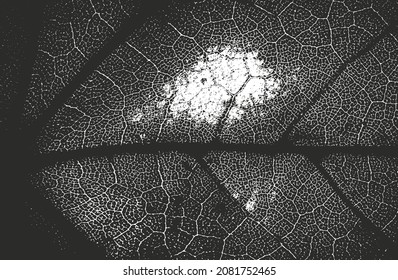 La textura macroscópica de hojas de madera con estrías. fondo negro y blanco grueso. ilustración abstracta de vector de medio tono