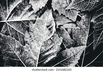 La textura macroscópica de hojas de madera con estrías. fondo negro y blanco grueso. ilustración abstracta de vector de medio tono