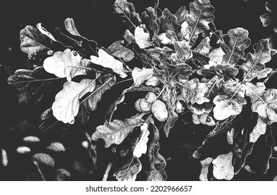 Distressed overlay wooden leaf macro texture with streaks. grunge black and white background. abstract halftone vector illustration
