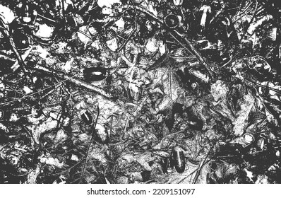 Distressed overlay wooden leaf macro texture with streaks. grunge black and white background. abstract halftone vector illustration