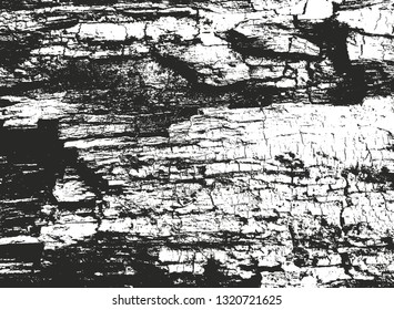 Distressed overlay wooden plank texture, grunge background. abstract halftone vector illustration