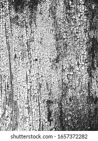 Distressed overlay wooden plank texture, grunge background. abstract halftone vector illustration