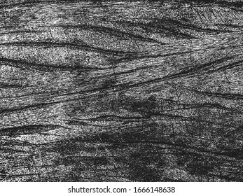 Distressed overlay wooden plank texture, grunge background. abstract halftone vector illustration