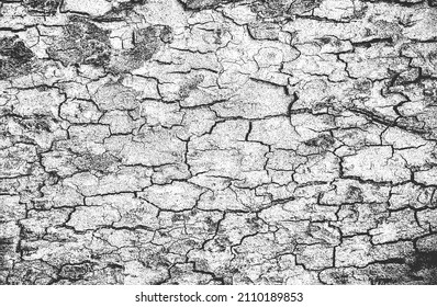Distressed overlay wooden plank texture, grunge background. abstract halftone vector illustration