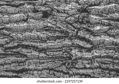 Distressed overlay wooden plank texture, grunge background. abstract halftone vector illustration