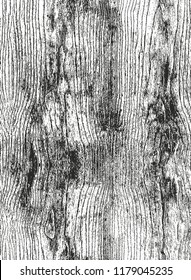Distressed overlay wooden texture, grunge vector background.