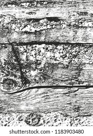 Distressed overlay wooden texture, grunge vector background.