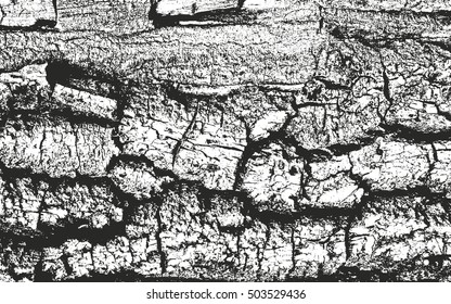 Distressed overlay wooden texture, grunge vector background.
