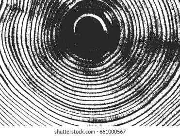 Distressed overlay wooden texture, grunge vector background.