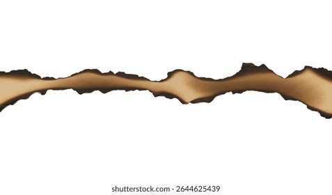 Distressed Paper Effect: Isolated Realistic Burnt Edge for Art