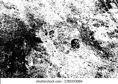 Distressed spray grainy overlay texture. Grunge dust messy background. Dirty powder rough empty cover template. Aged splatter crumb wall backdrop. Weathered drips aging design element. EPS10 vector.