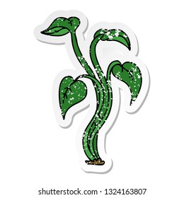 distressed sticker of a quirky hand drawn cartoon plant