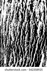 Distressed Wood grunge grainy overlay texture. Bark texture.Vector and illustration.