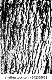 Distressed Wood grunge grainy overlay texture. Bark texture.Vector and illustration.