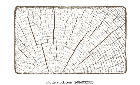 Distressed wood overlay textured. Old wooden design element. Cross section tree rings cut slice. Brown tree texture on white background. Wide horizontal long banner. Vector illustration. EPS 10.