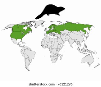 Distribution beaver