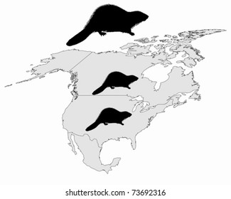 Distribution of canadian beaver