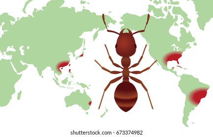 distribution of fire ants.