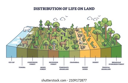 Distribution of life on land with geographical climate zones outline diagram. Labeled educational categories division system for natural habitat zoning vector illustration. Earth vegetation scheme.