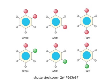 Benzeno substituído. Orto, meta e para isomerismo em benzeno.Isomerismo posicional. Ilustração de Química.