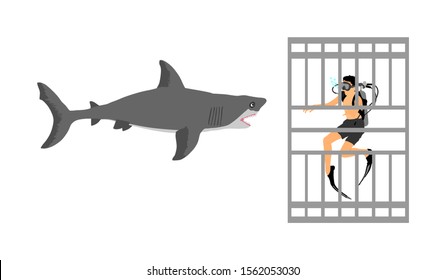 Diver in diving cage observing great white shark vector illustration isolated. Swimming biology research. Explorer against shark under water. Scary scene in marine wildlife. Help ocean beach swimmers.