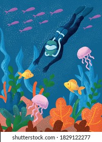 the diver goes down under the water and sees the colorful sea world