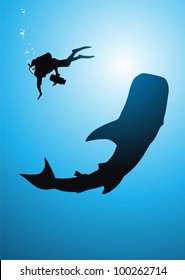 The diver removes a whale on an underwater video camera