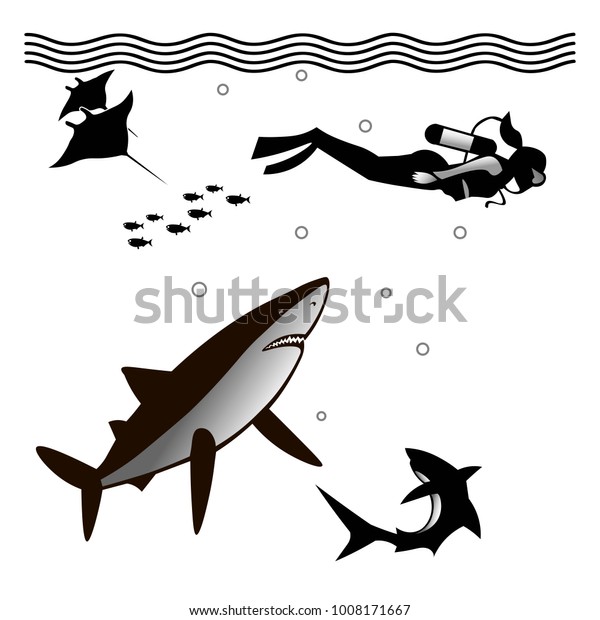 depth divers vs sharks free