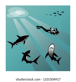 the diver swims among the sharks