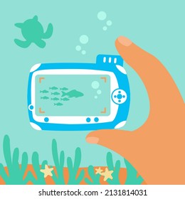 divers hand holds a camera and photographs animals and fish underwater. Diving course vector flat design illustration. make video or photo undersea. aquarium or oceanarium view cartoon. shoot picture