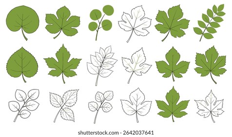 Diverse Array of Green Botanical Leaves And Natural Foliage Illustrations For Graphic Design