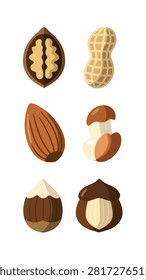 Diverse assortment of nuts with walnut almond hazelnut and mushroom in earthy tones perfect for healthy food recipes or snack imagery