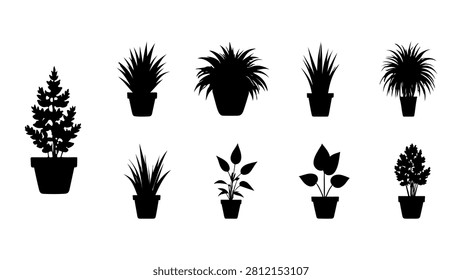 Diverse assortment of potted plants and foliage, showcasing different shapes, sizes, and types suitable for interior and exterior decoration.