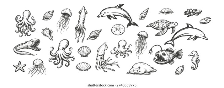 A diverse assortment of sea creatures and shells rendered in a detailed, vintage sketch aesthetic, perfect for educational or decorative use