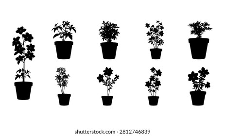 Diverse assortment of small potted plants showcasing different leaf shapes and sizes, arranged in a grid on a plain background.