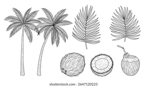 Diverse Assortment of Tropical Vegetation Trees and Plant Life Depicted in Black and White