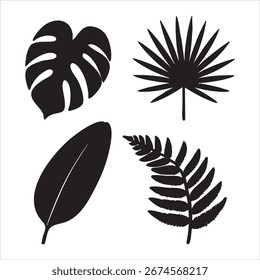 Diversas Silhuetas de Folha Preta e Branca para Design Decorativo e Ilustração Botânica