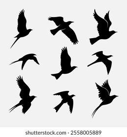 A diverse collection of bird silhouettes in flight, showcasing various species against a transparent background, perfect for nature-inspired designs, logos, and creative projects.