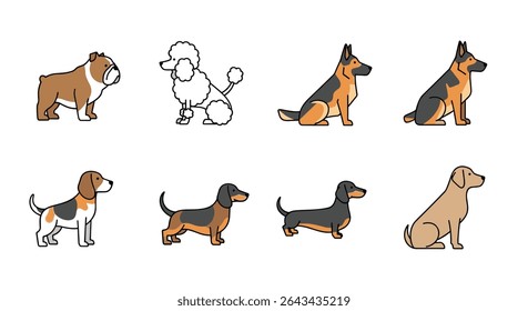 A Diverse Collection of Canine Companions Showcasing Various Dog Breeds and Types