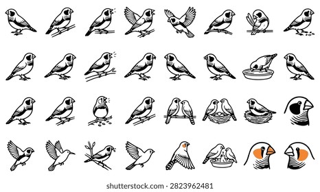 A diverse collection of detailed hand-drawn illustrations featuring finch birds in numerous natural poses and activities.