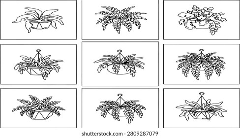 A diverse collection of elegant potted plants and lush hanging ferns depicted in a clean minimalist line art style