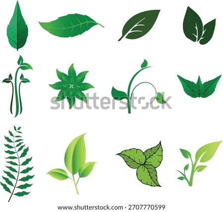 Diverse Collection of Green Leaf and Botanical Elements