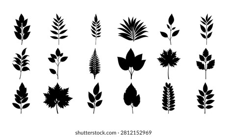 Diverse collection of leaf silhouettes showcasing different shapes and sizes, ideal for botanical, nature, and design projects.