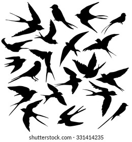 A diverse collection of silhouettes of birds